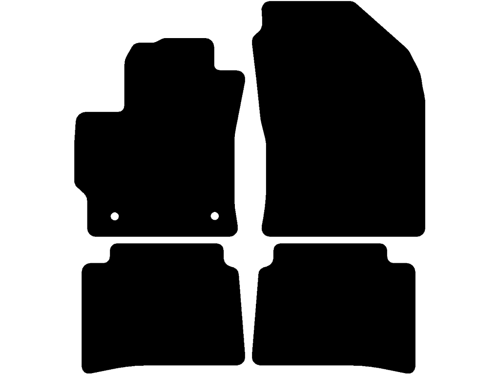 Fußmatten für Suzuki Swace 2020 - 2025