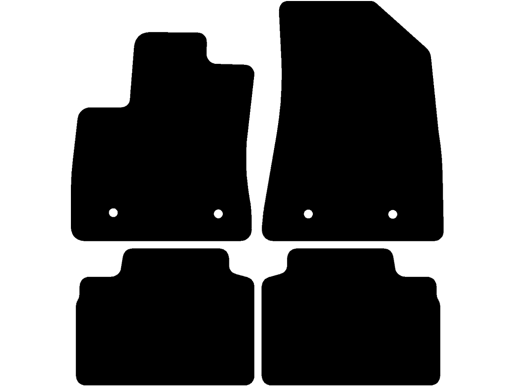 Electric | Zwei einzelne hintere Matten | Variante 1