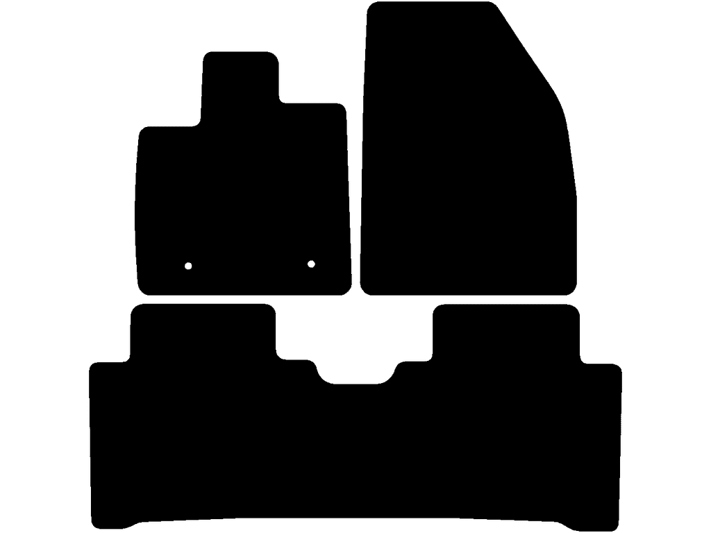 Fußmatten für BYD Atto 3 2022 - 2025