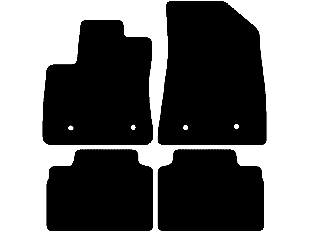 Electric | Zwei einzelne hintere Matten | Variante 2