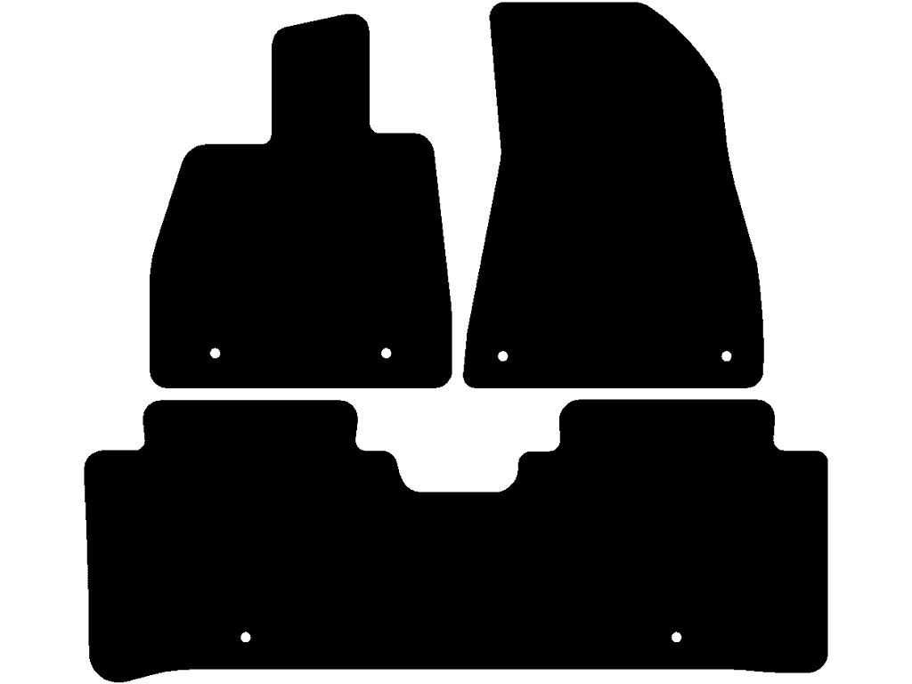 Fußmatten für BYD Seal 2023 - 2025