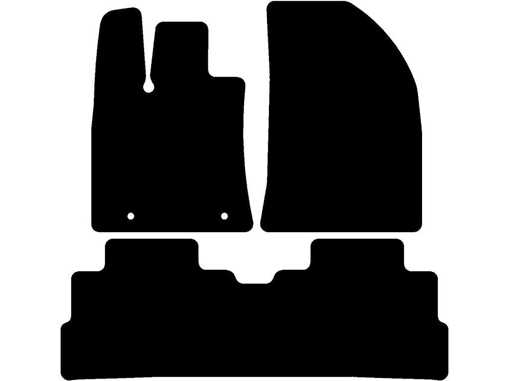 Fußmatten für BYD Dolphin Surf 2025 - 2026