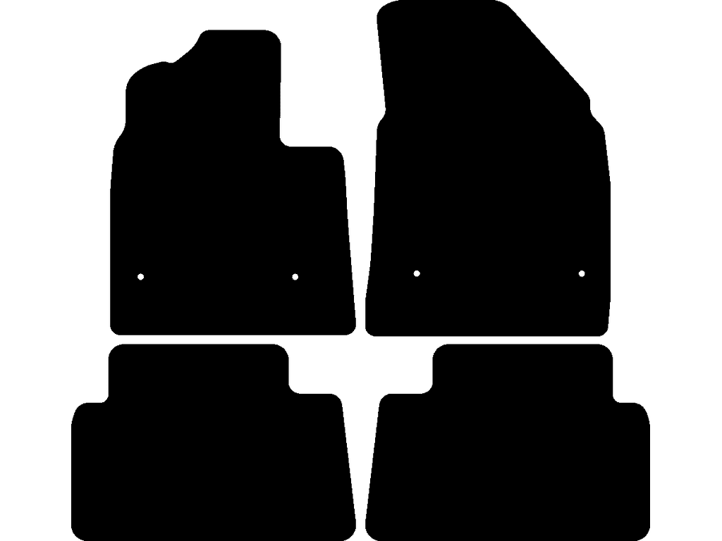 Limousine / Tourer | Zwei einzelne hintere Matten