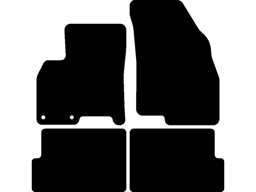 Fußmatten für DR 6.0 2023 - 2026