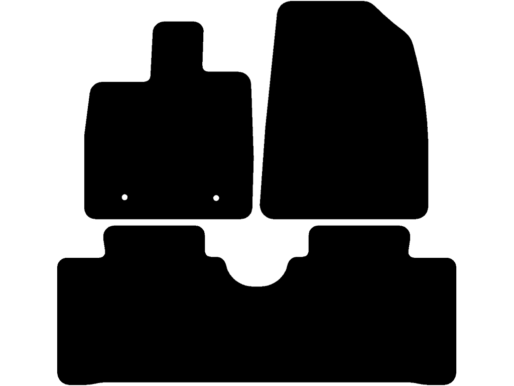 Fußmatten für BYD Dolphin 2023 - 2026