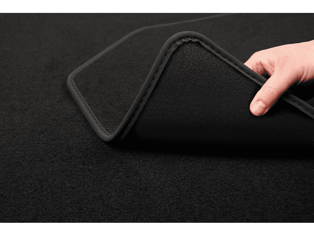 Carmat image 2