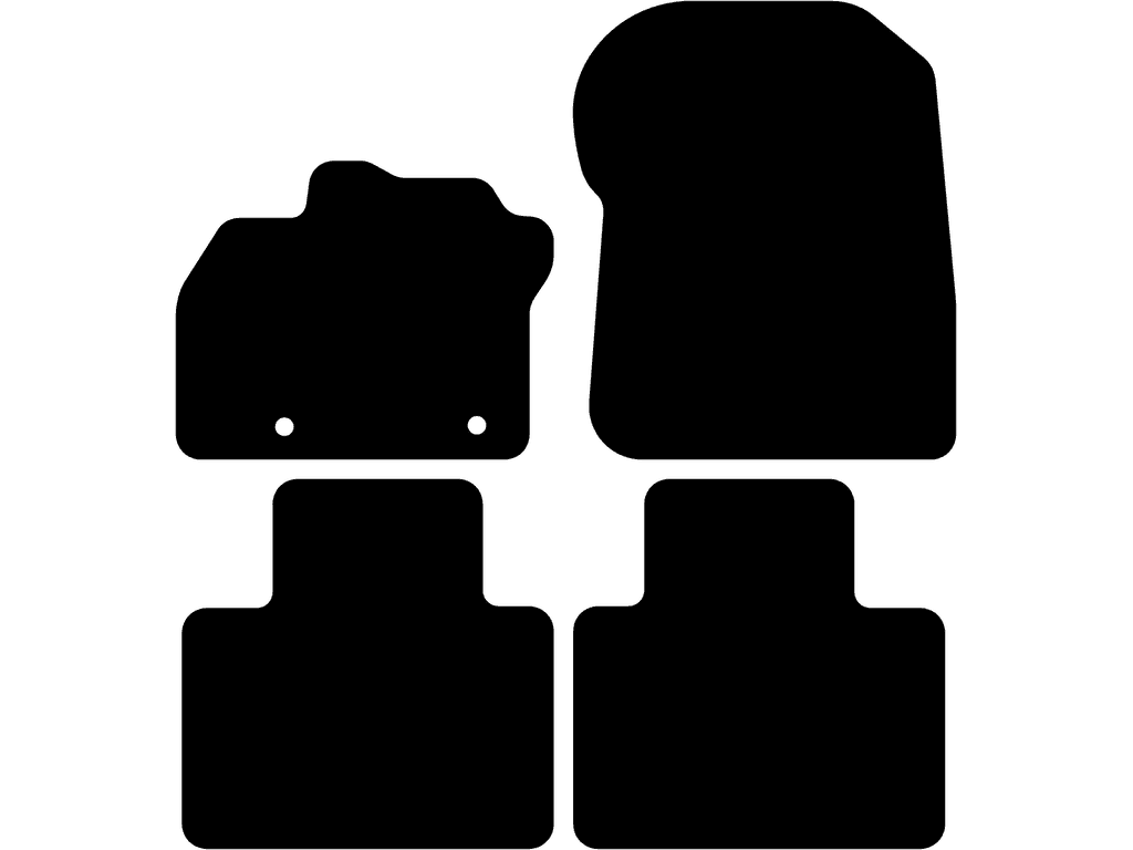 Fußmatten für Renault Zoë 2012 - 2019