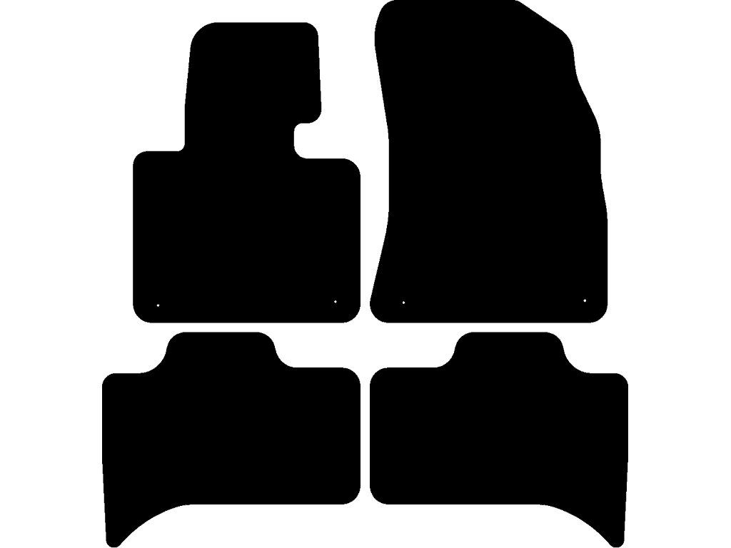 Fußmatten für BMW X5 E53 1999 - 2007