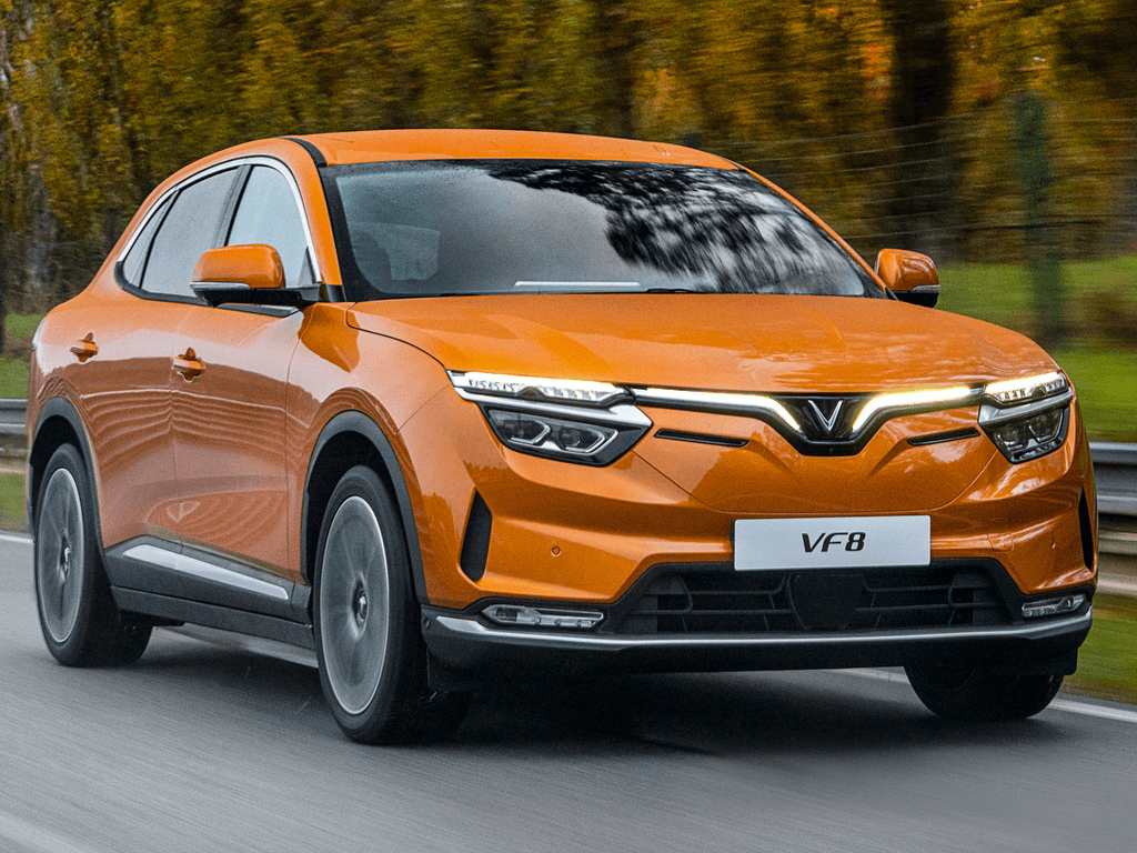 Fußmatten für Vinfast VF8 2023 - 2026