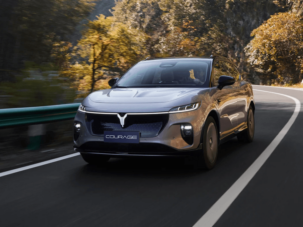 Fußmatten für Voyah Courage 2024 - 2025